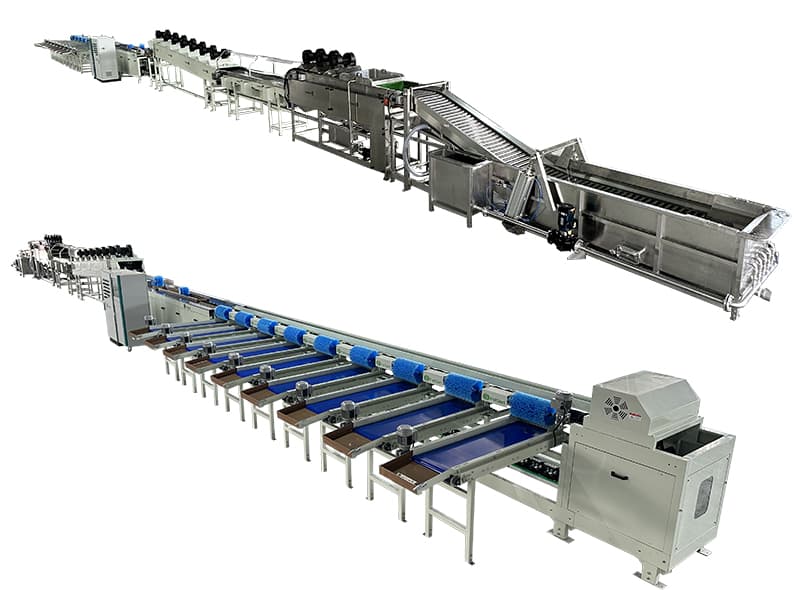 dragon fruit washing drying sorting packing line.jpg